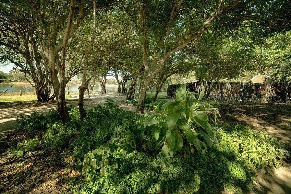 Motsebe Backpackers Hotel Maun Exterior photo